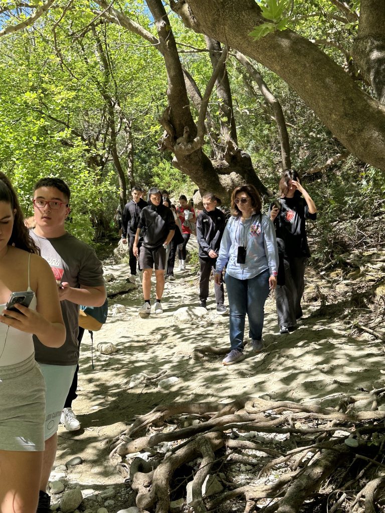 Μπορεί να είναι εικόνα 7 άτομα και Angel Oak tree